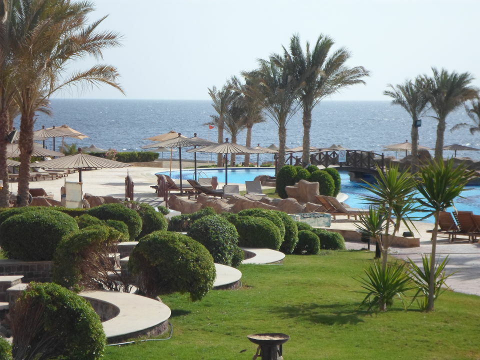 Coral Hills & Курортний комплекс 4*