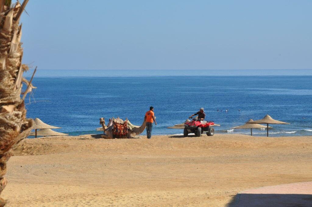 Курортний комплекс Coral Hills &